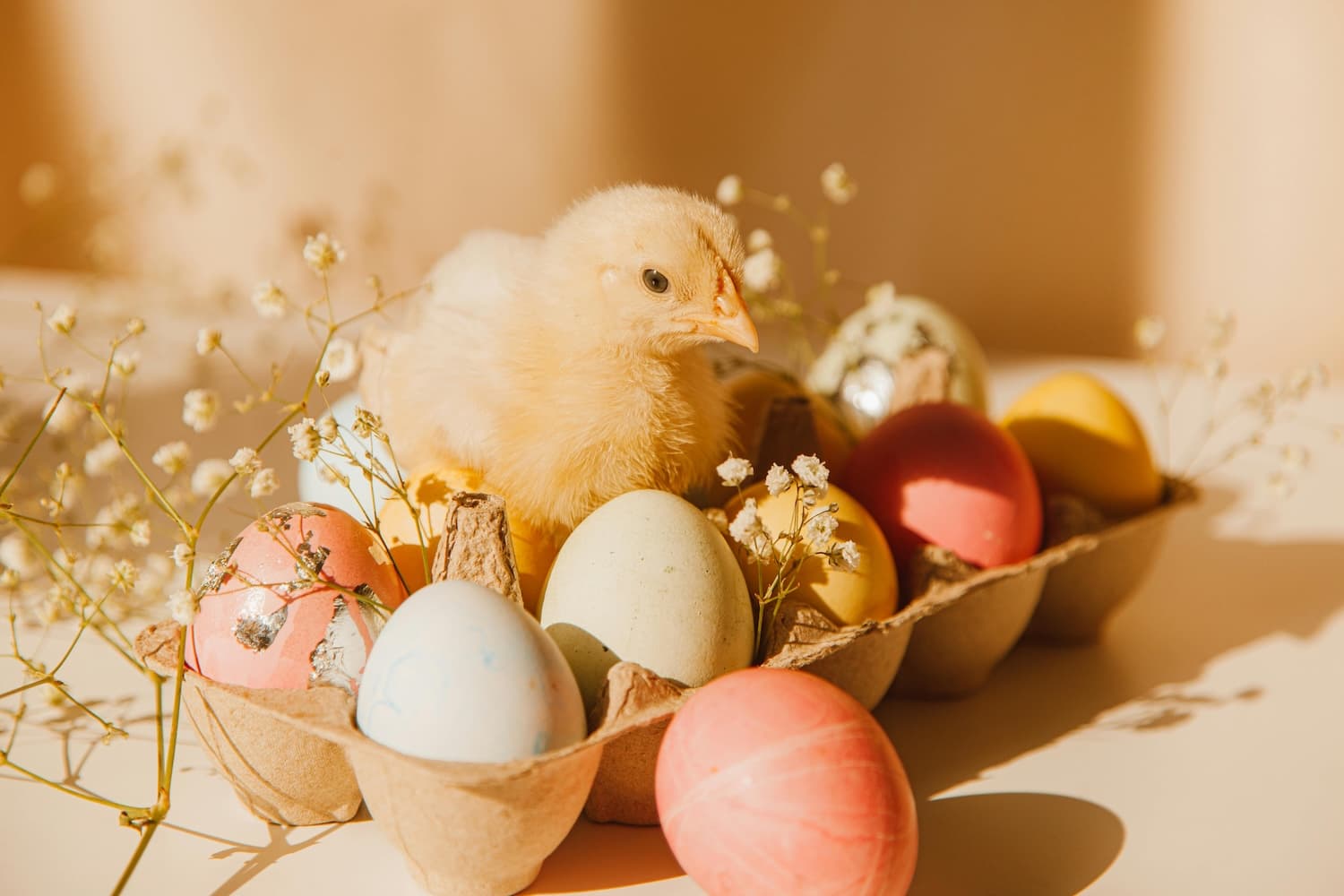 🐣 Bienvenue chez vous ! 🥳
