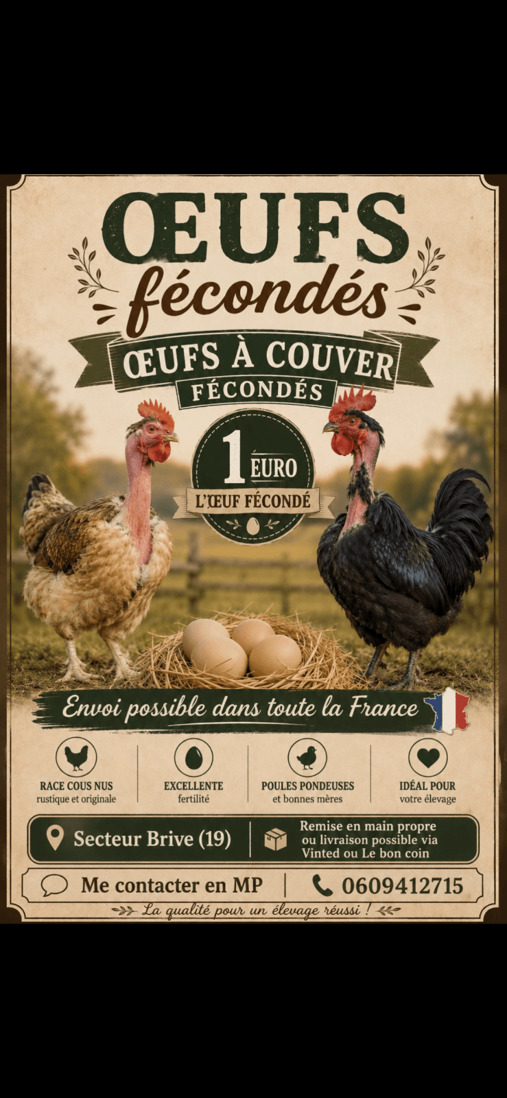 Œufs cous nu