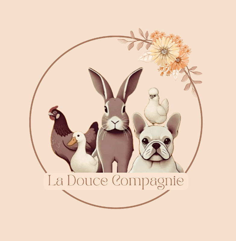 Photo boutique
